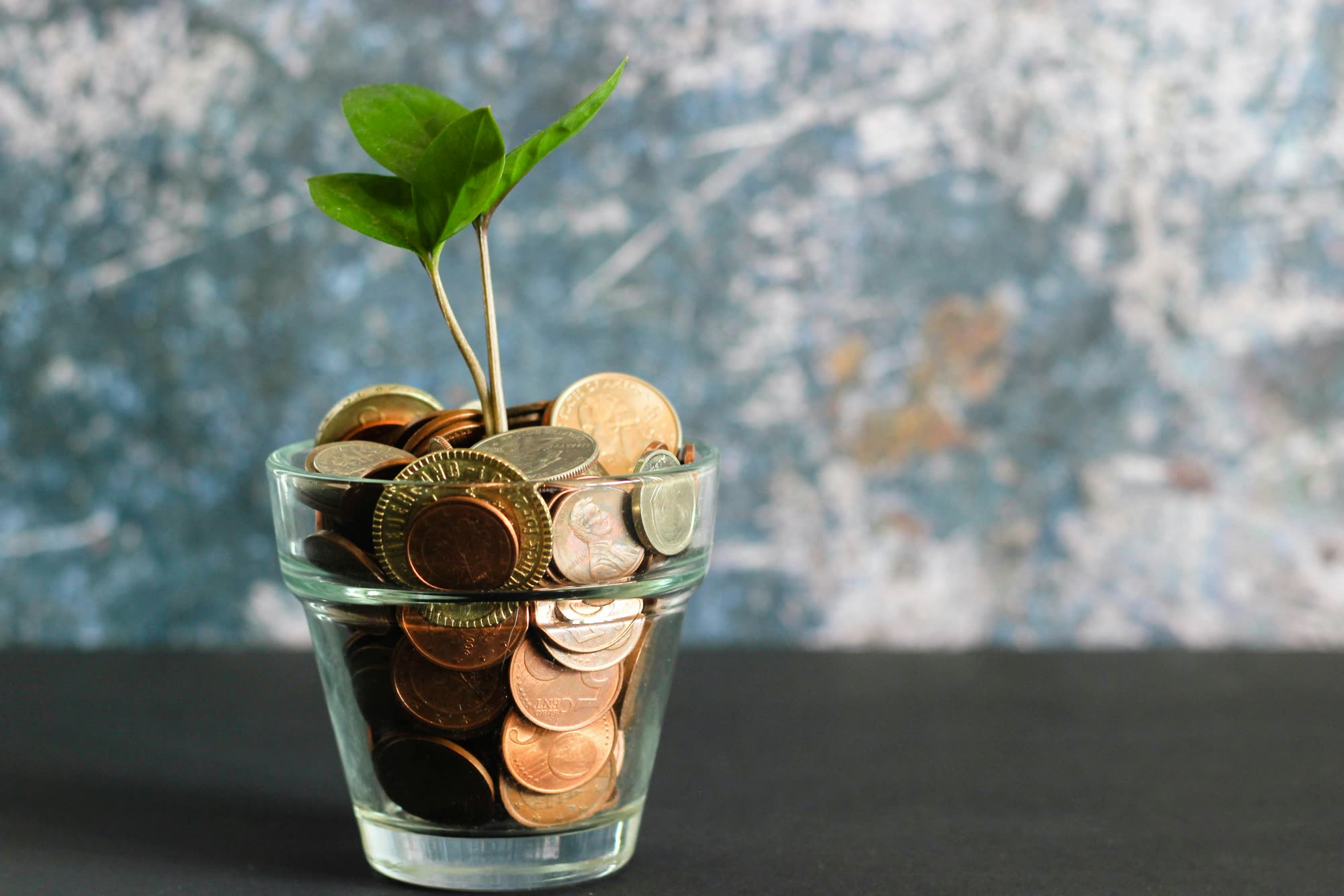 Seedling growing from a jar of coins